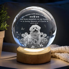 Load image into Gallery viewer, Personalized Dog Memorial Globe Lamp with Flowers Gift for Pet Owners