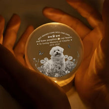 Load image into Gallery viewer, Personalized Dog Memorial Globe Lamp with Flowers Gift for Pet Owners