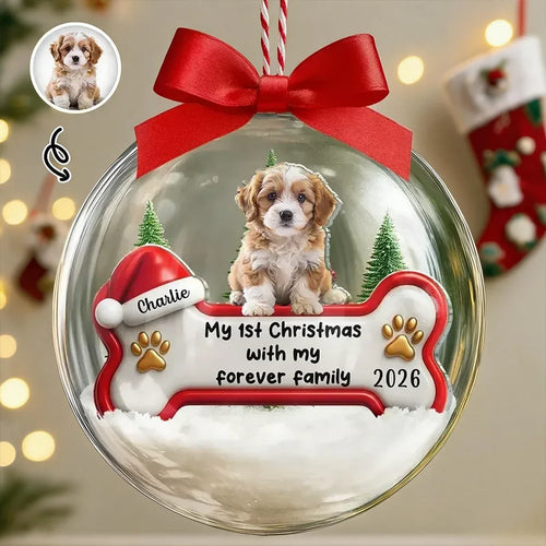 Personalized Acrylic Snow Globe Ornament for Dog Lovers First Christmas Gift