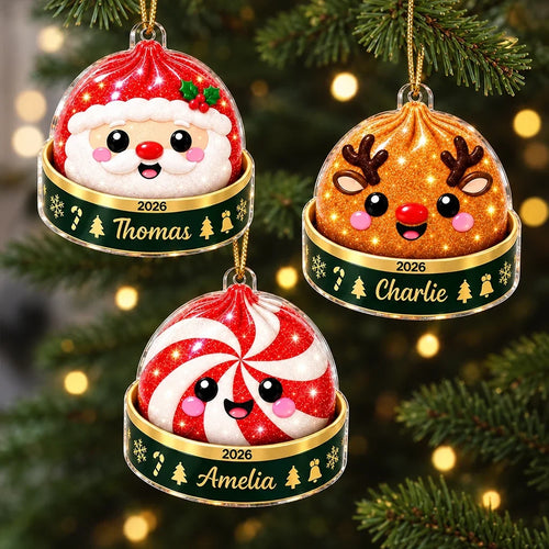 Personalized Acrylic Christmas Ornament Cute Santa Reindeer Gift for Family
