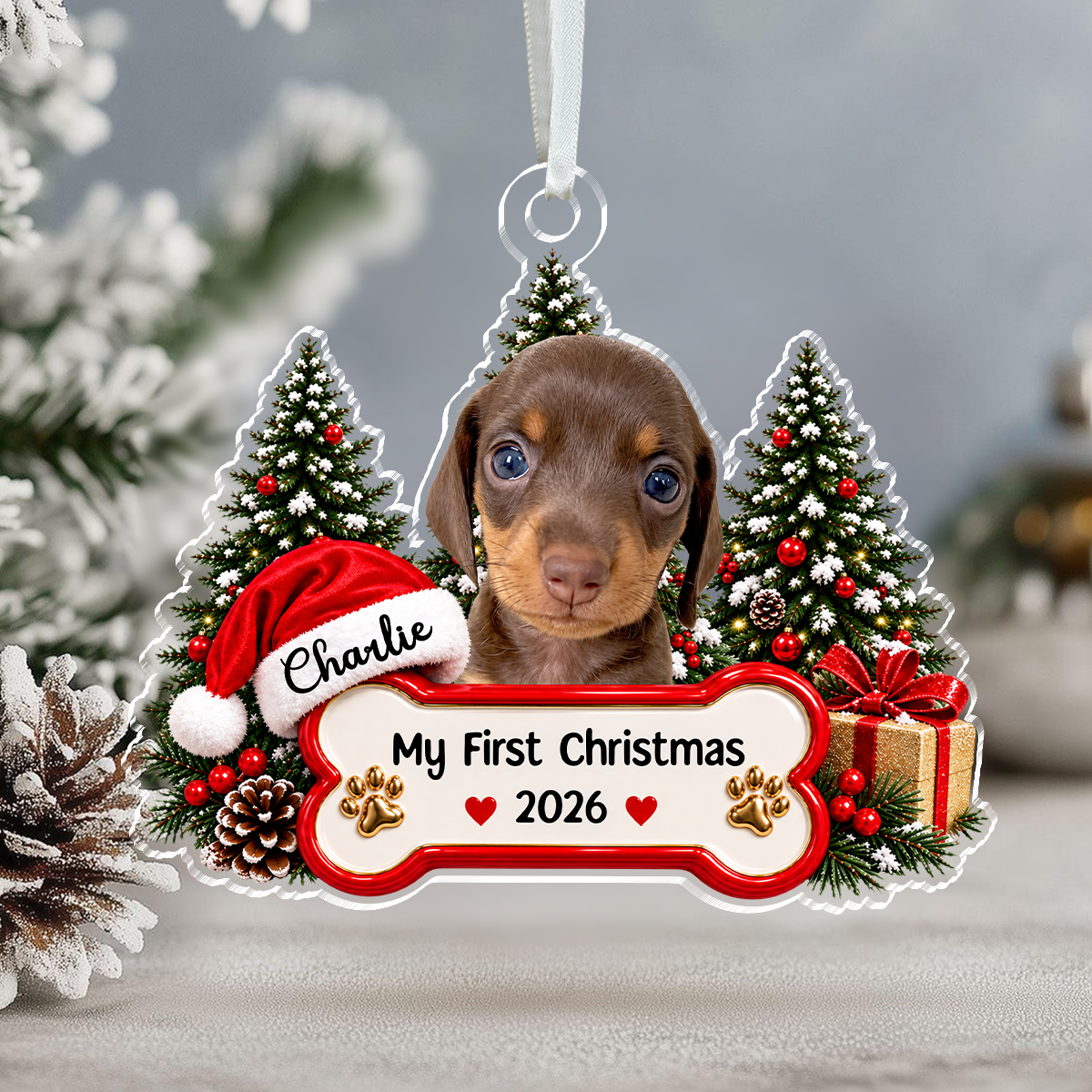 Personalized Pet Photo Acrylic Ornament My First Christmas Gift for Pet Parents