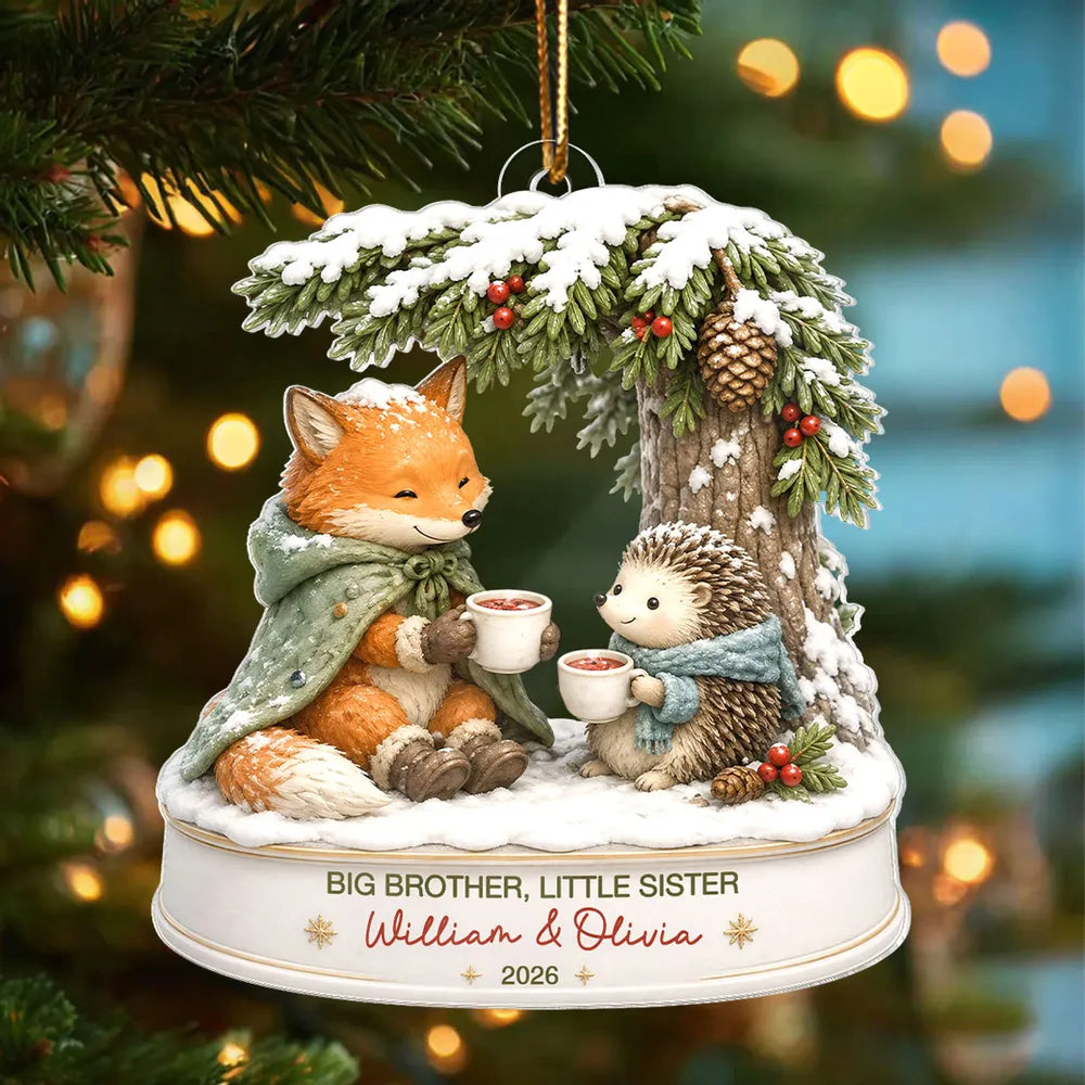 Personalized Big Brother Little Sister Acrylic Ornament Gift