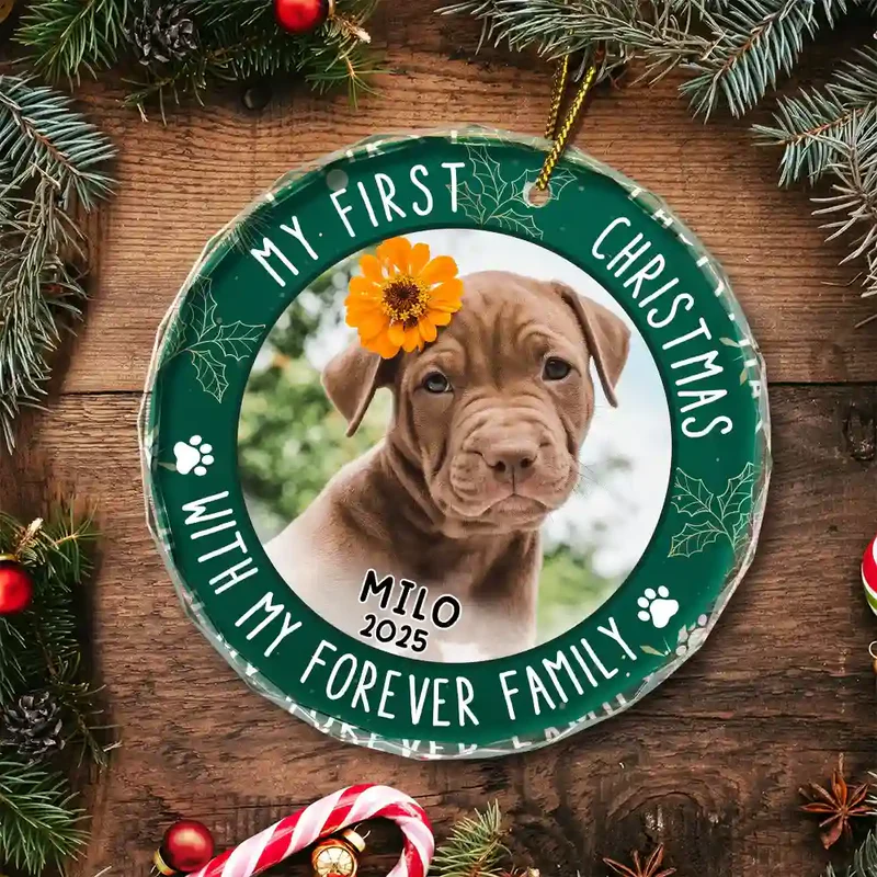 Personalized Dog Christmas Ornament for Pet Lovers - First Christmas Keepsake Ornament MagicInPrints