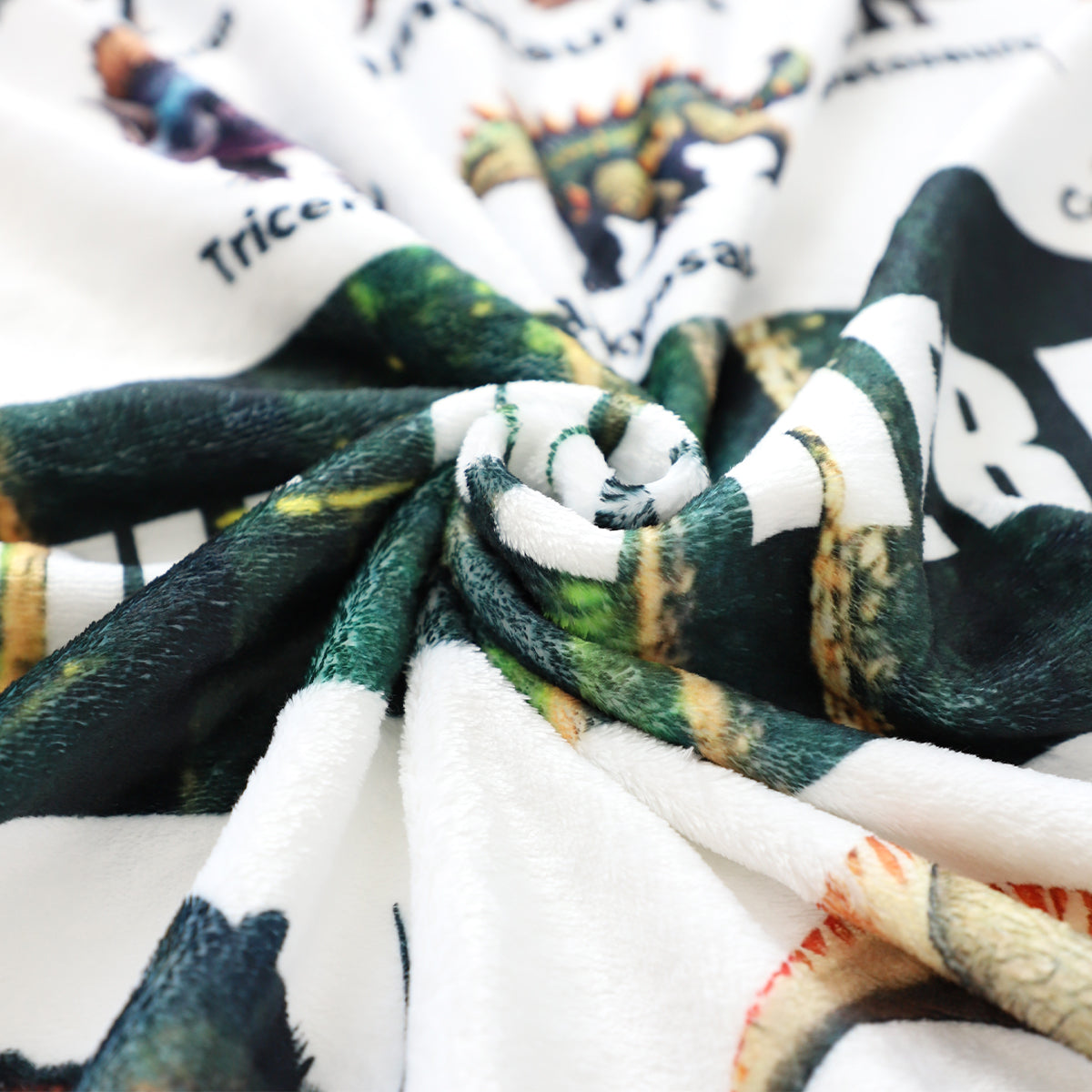 Personalized Dinosaur Blanket for Kids - Fun Educational Gift Pillow or Blanket MagicInPrints