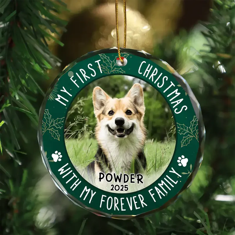 Personalized Dog Christmas Ornament for Pet Lovers - First Christmas Keepsake Ornament MagicInPrints