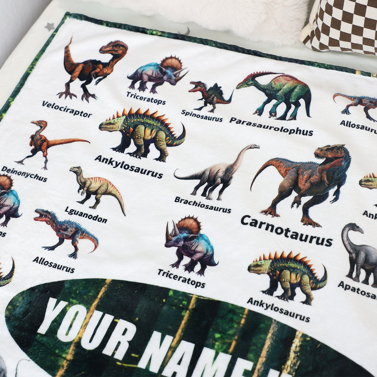 Personalized Dinosaur Blanket for Kids - Fun Educational Gift Pillow or Blanket MagicInPrints
