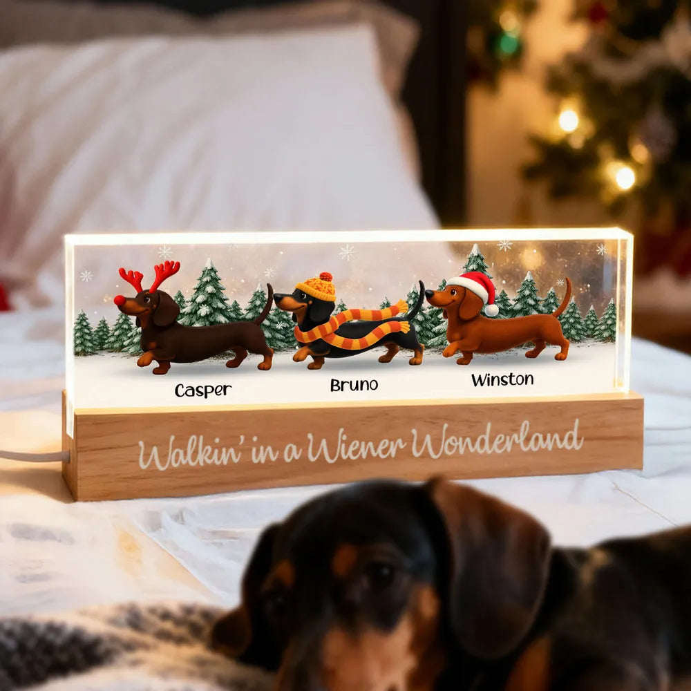Personalized Dachshund Christmas Light Decor for Dog Lovers - Festive Holiday Display Plaque MagicInPrints