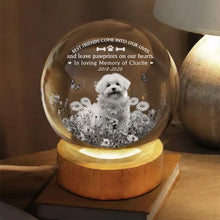 Load image into Gallery viewer, Personalized Dog Memorial Globe Lamp with Flowers Gift for Pet Owners
