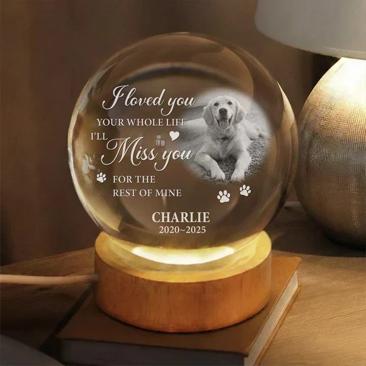 Personalized Pet Remembrance Globe Lamp for Dog Lovers