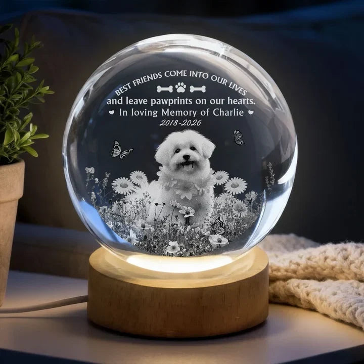 Personalized Dog Memorial Globe Lamp with Flowers Gift for Pet Owners