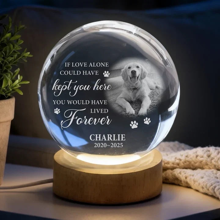 Personalized Pet Remembrance Globe Lamp for Dog Lovers