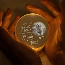 Load image into Gallery viewer, Personalized Pet Remembrance Globe Lamp for Dog Lovers

