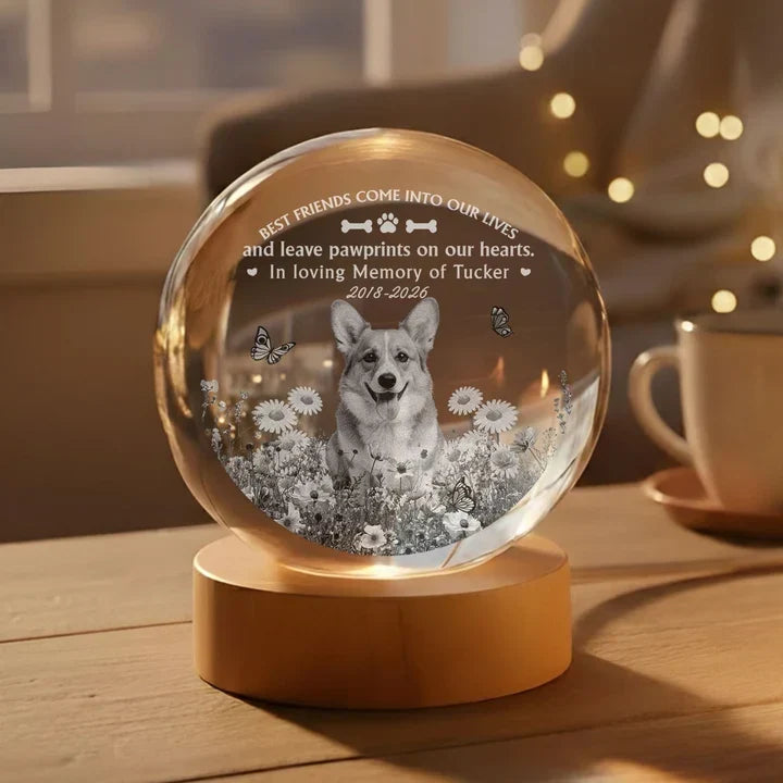 Personalized Dog Memorial Globe Lamp with Flowers Gift for Pet Owners