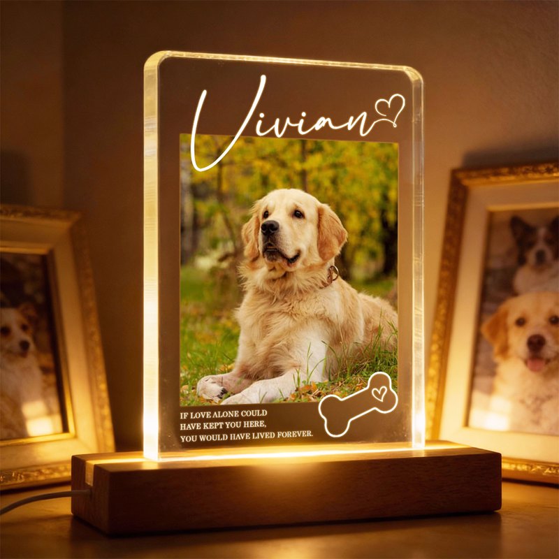 Custom LED Pet Memorial Light for Dog Lovers - Sentimental Home Decor Plaque MagicInPrints